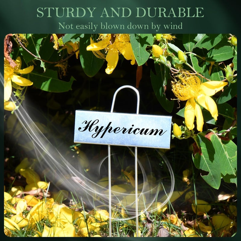 cureder 50 Pack Metal Plant Labels for Outdoor Garden Waterproof Plant Markers, Labels Garden Markers for Seedlings Herbs Vegetable Greenhouse Gifts, with Pen - Image 5